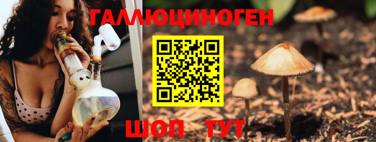 Татарск  Галлюциногенные грибы MAGIC MUSHROOMS  Вход с VPN 